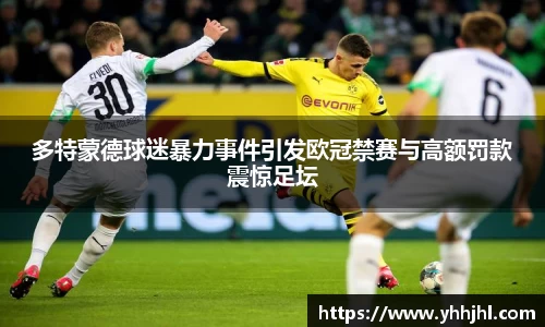 多特蒙德球迷暴力事件引发欧冠禁赛与高额罚款震惊足坛